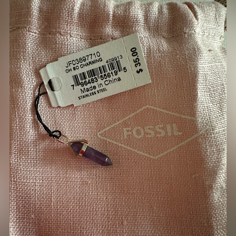 Fossil Amethyst Charm NWT